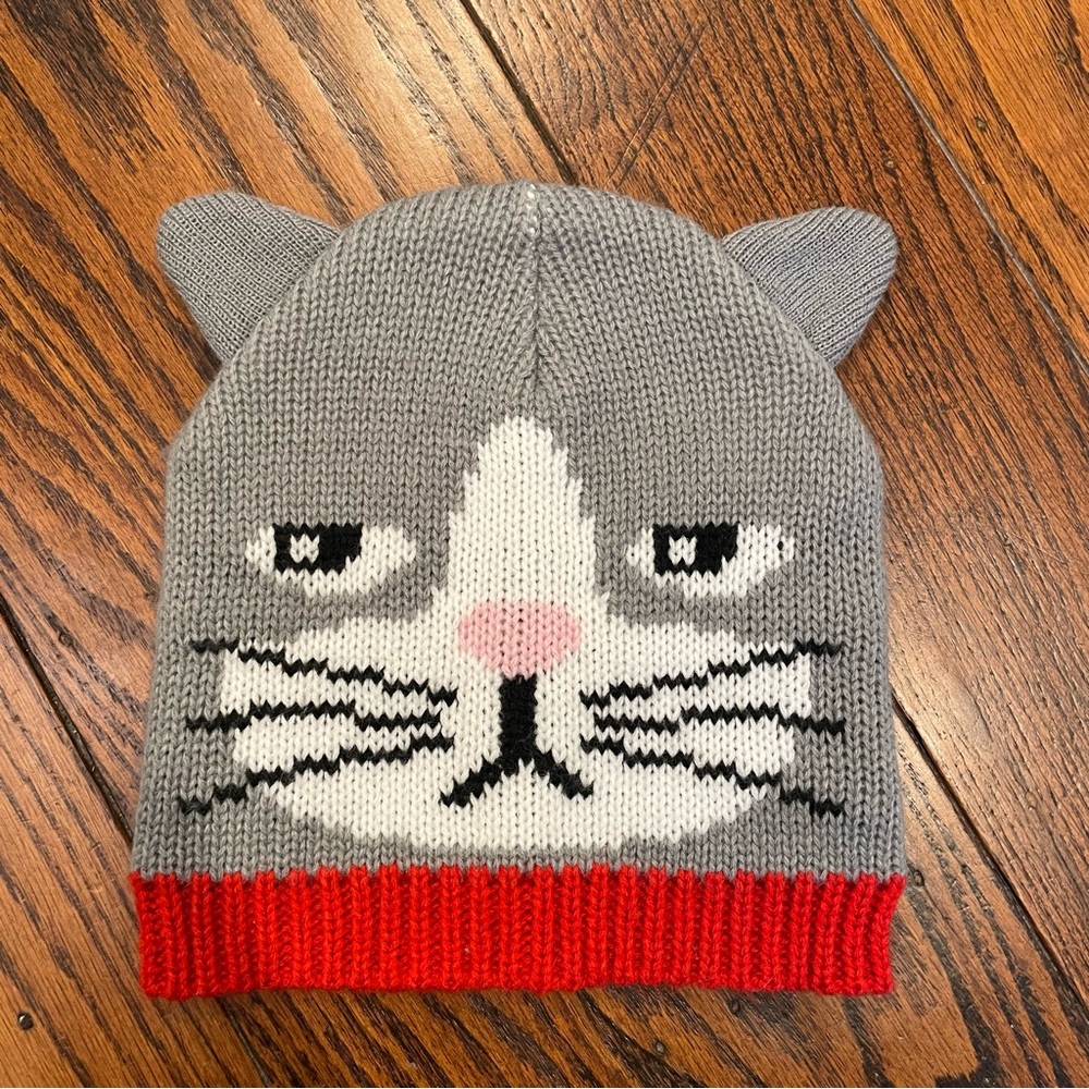 Grumpy Cat Gray and Red Knit Beanie for Kids or Adults